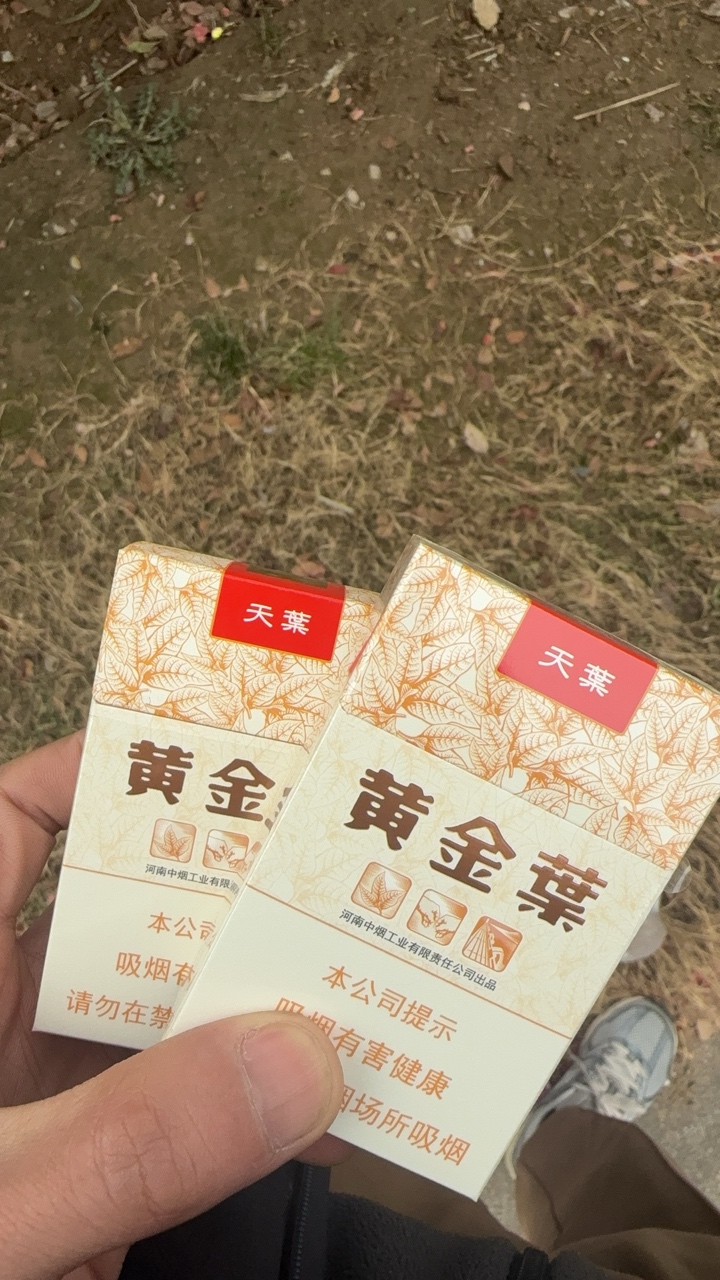 装个杯，在卡农什么水平

2 / 作者:炒粉加鸡精 / 