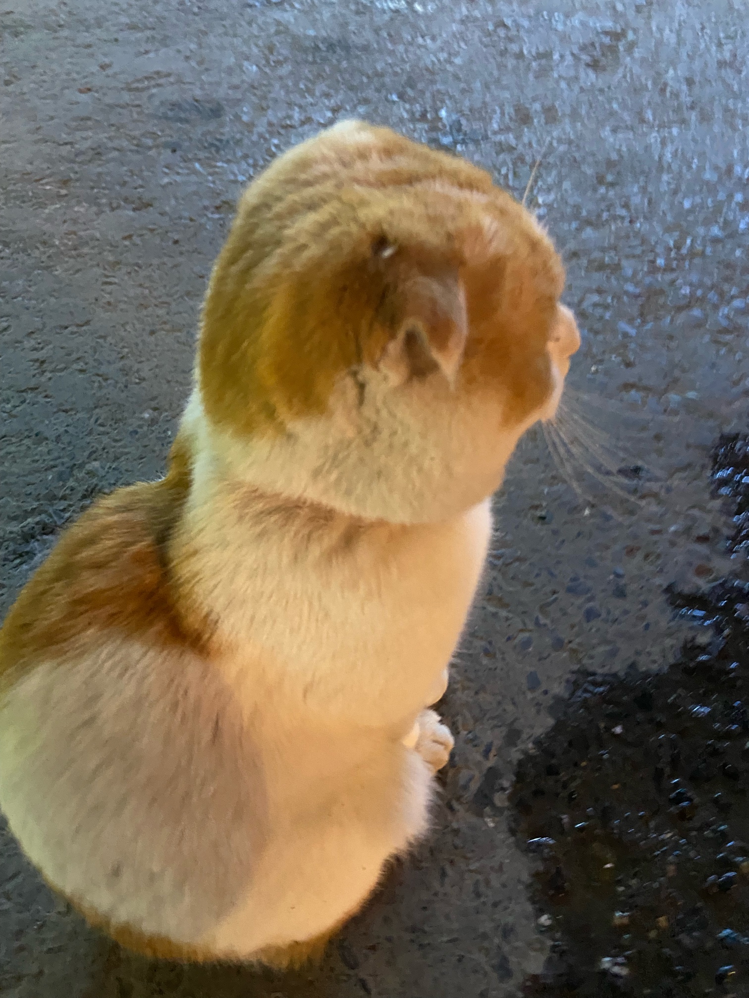 苹果卡农之家好像可以发图片了

51 / 作者:橘子汽水味糖 / 