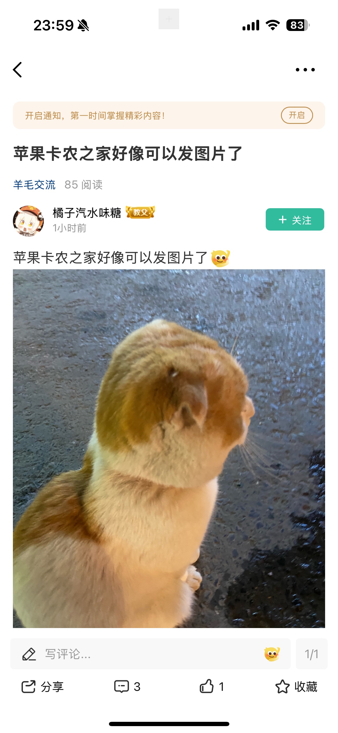 苹果卡农之家好像可以发图片了

67 / 作者:快乐的薅羊毛 / 