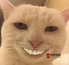 卡农四大TS
水织，小贝，猫爪，大荒

82 / 作者:温柔is / 