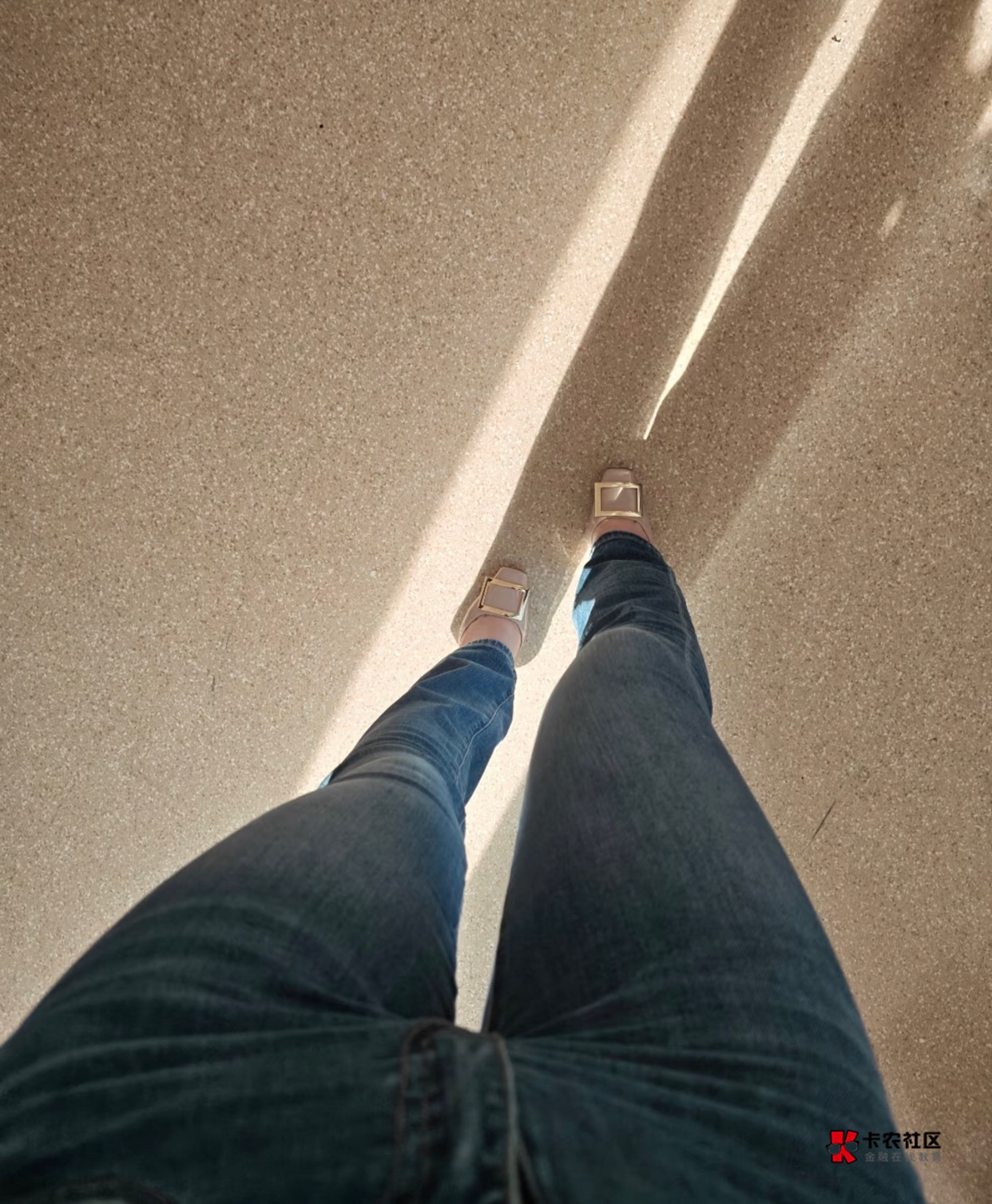 卡农天天没毛，老哥怎么坚持下去的？


15 / 作者:258698230 / 