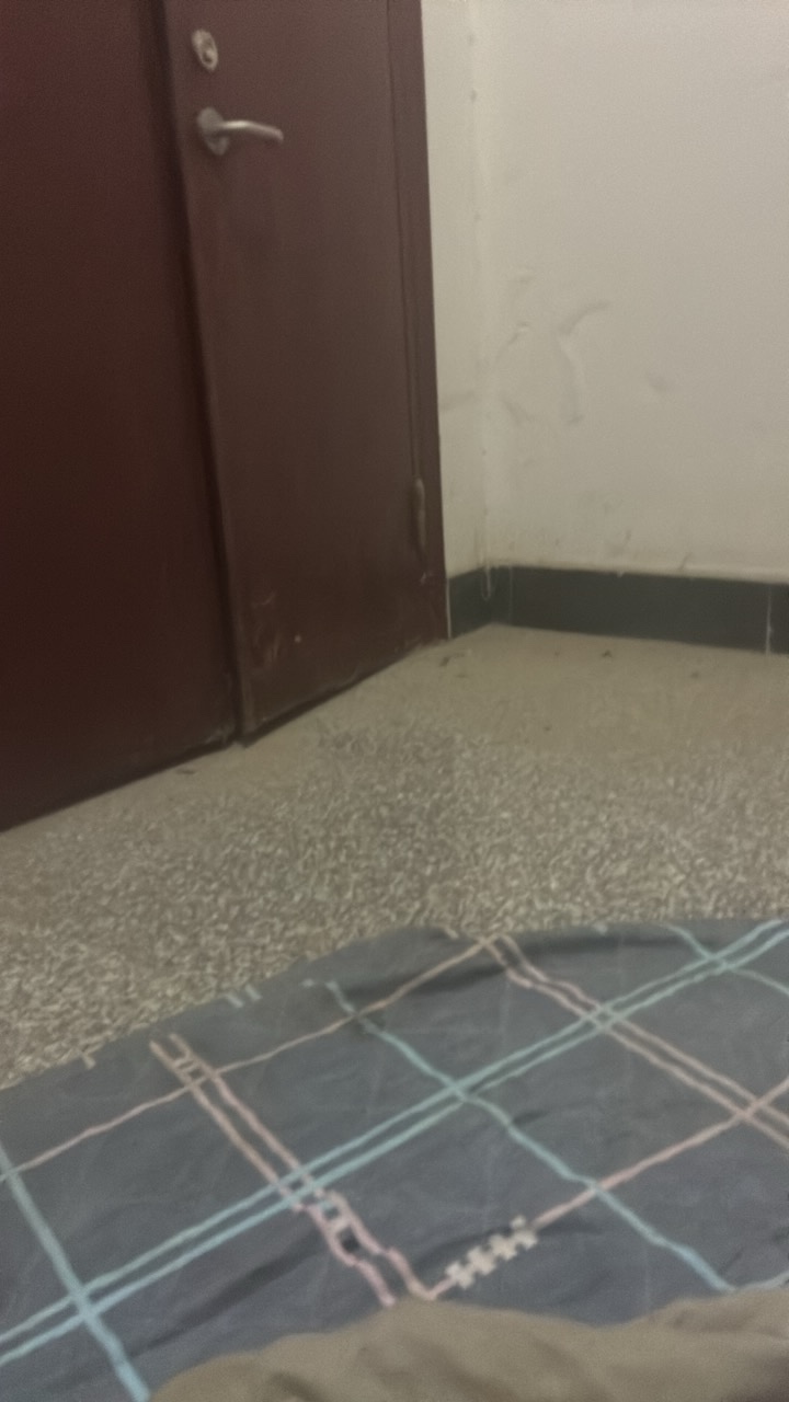 睡觉了老哥们，找了一个烂尾楼，今晚睡着儿吧

9 / 作者:申请一下啊 / 