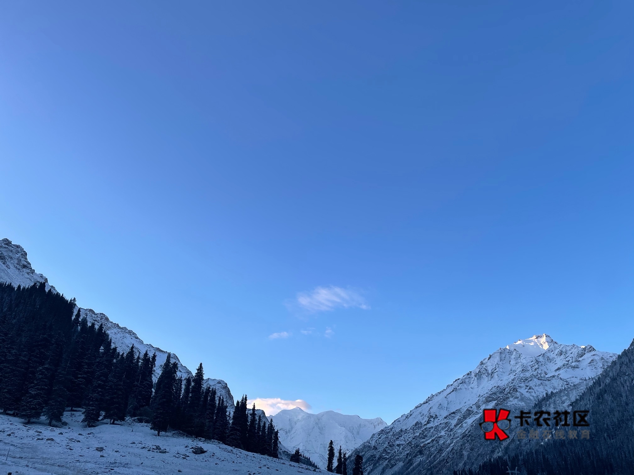 老哥们，本金只有 400。建行苏州公积金 2 季度的 2000 累计缴存怎么刷啊？有没有老哥93 / 作者:charon95 / 