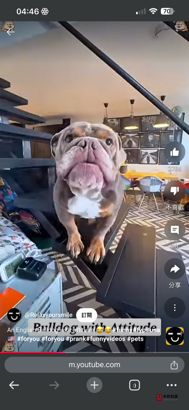 许愿贴 愿我每天出门地上捡100块

53 / 作者:神的指引 / 