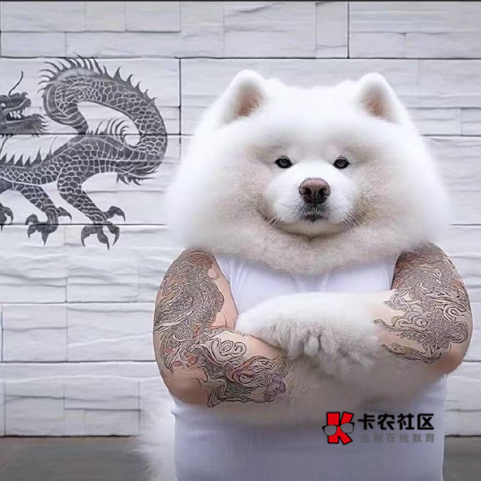 微乐新人谁收

74 / 作者:坚持3步走 / 