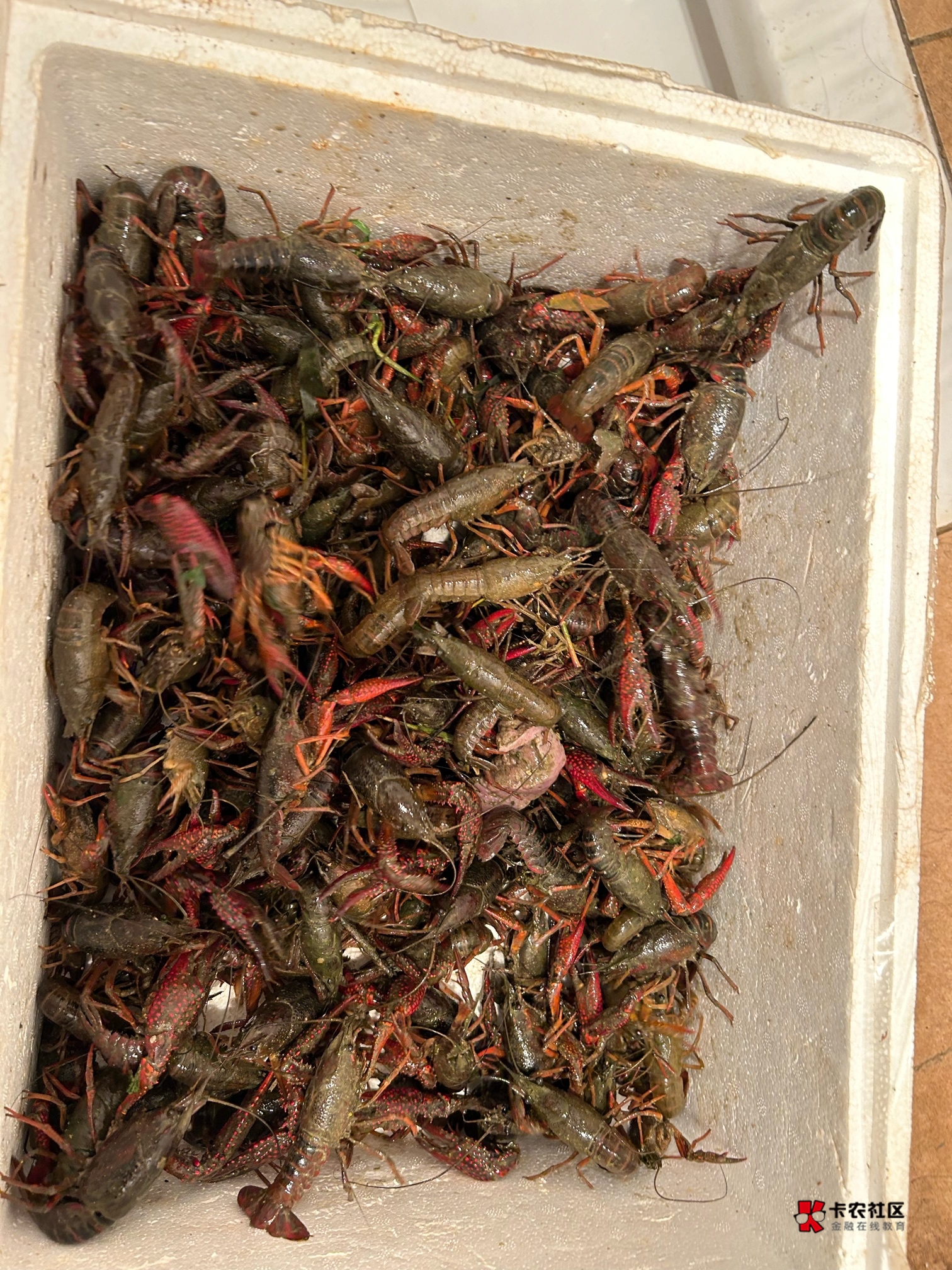 4个人半小时

61 / 作者:小飞棍来咯 / 