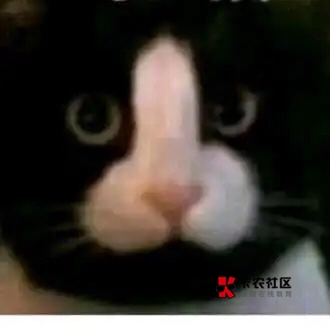 这才是欧冠吗 明天的便秘大战就没必要看了

58 / 作者:胡爱夏 / 