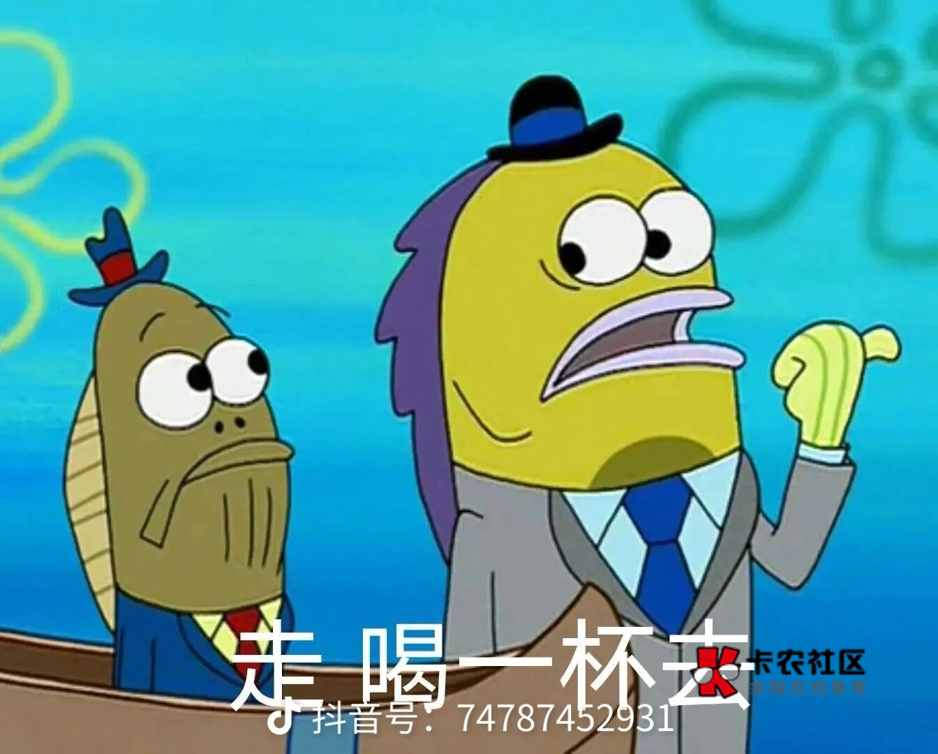 卡农我以为被按头端了呢？一早上都进不来，搞得我就像失恋了一样，没精打采的

12 / 作者:深港藏猫话别浅巷 / 