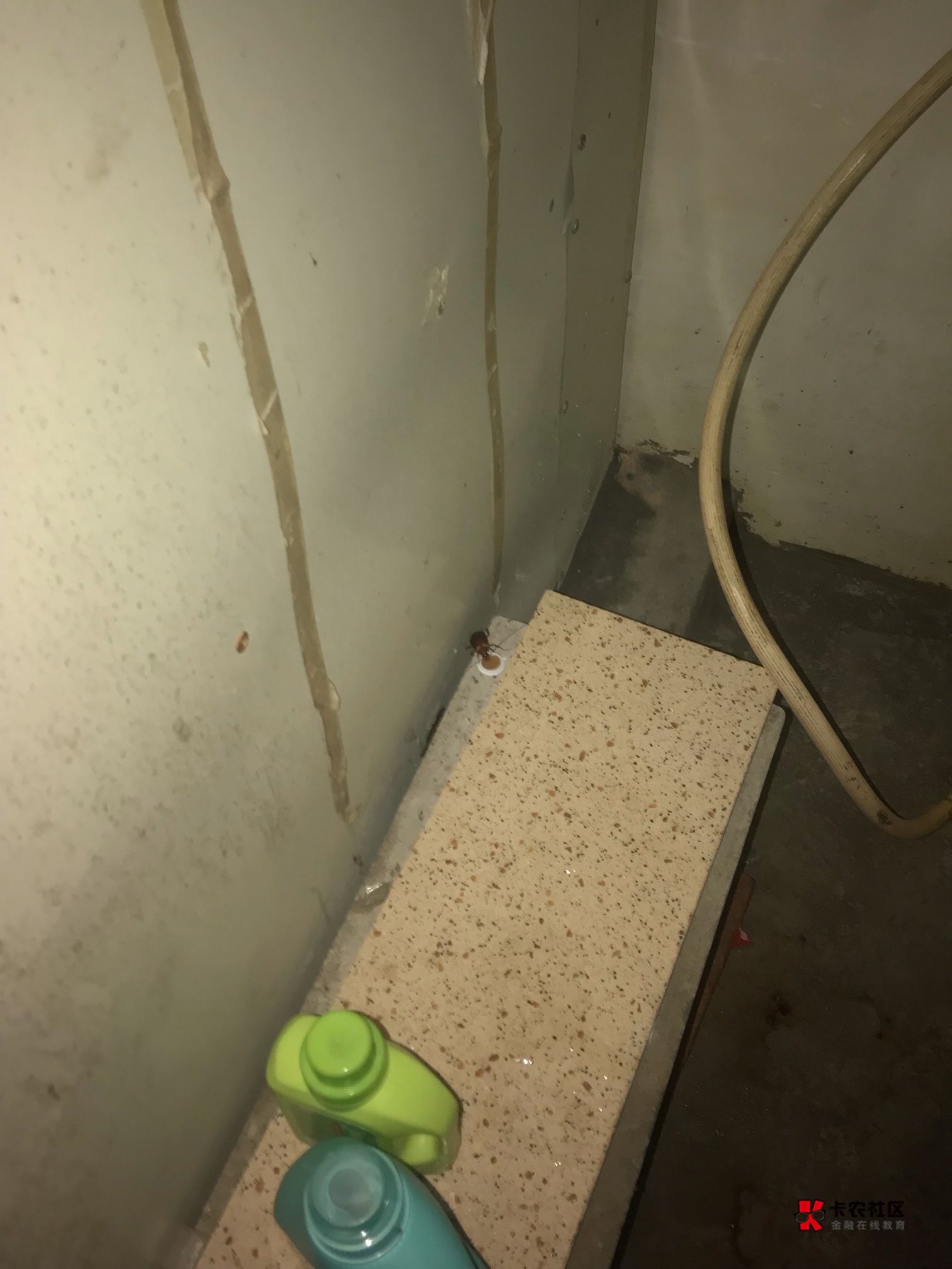 还有4个半小时下班，550又到手

88 / 作者:咕噜咪008 / 