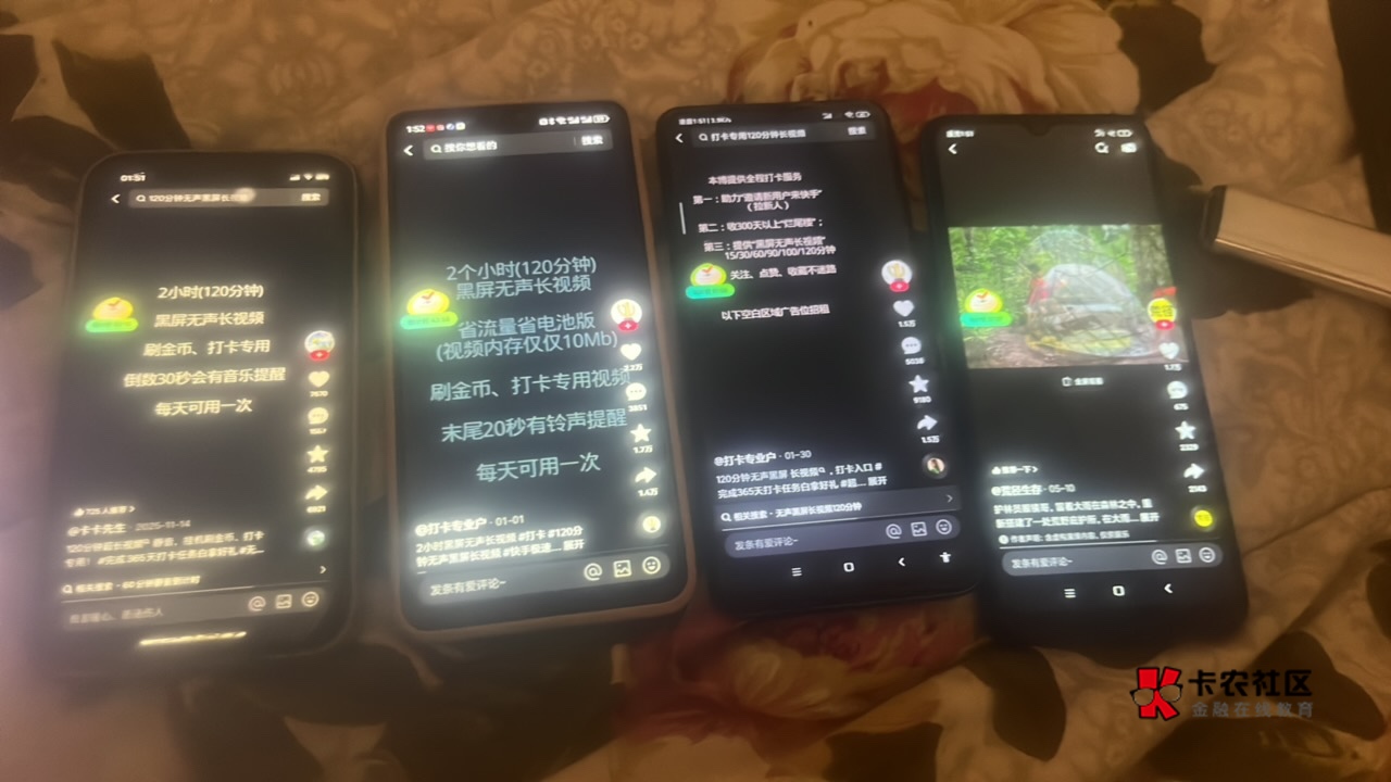 这毛，老哥们你们也申请吗？好累

73 / 作者:荒 城 / 