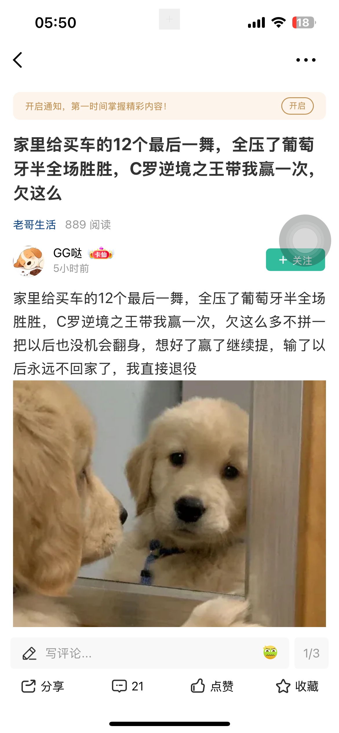 12w葡萄牙那老哥怎么样了
3 / 作者:中国龙佛吕布 / 