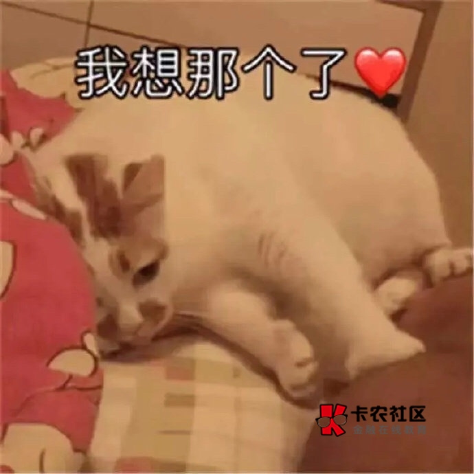 老哥们多久没奖励自己了

56 / 作者:卡农加菲猫 / 