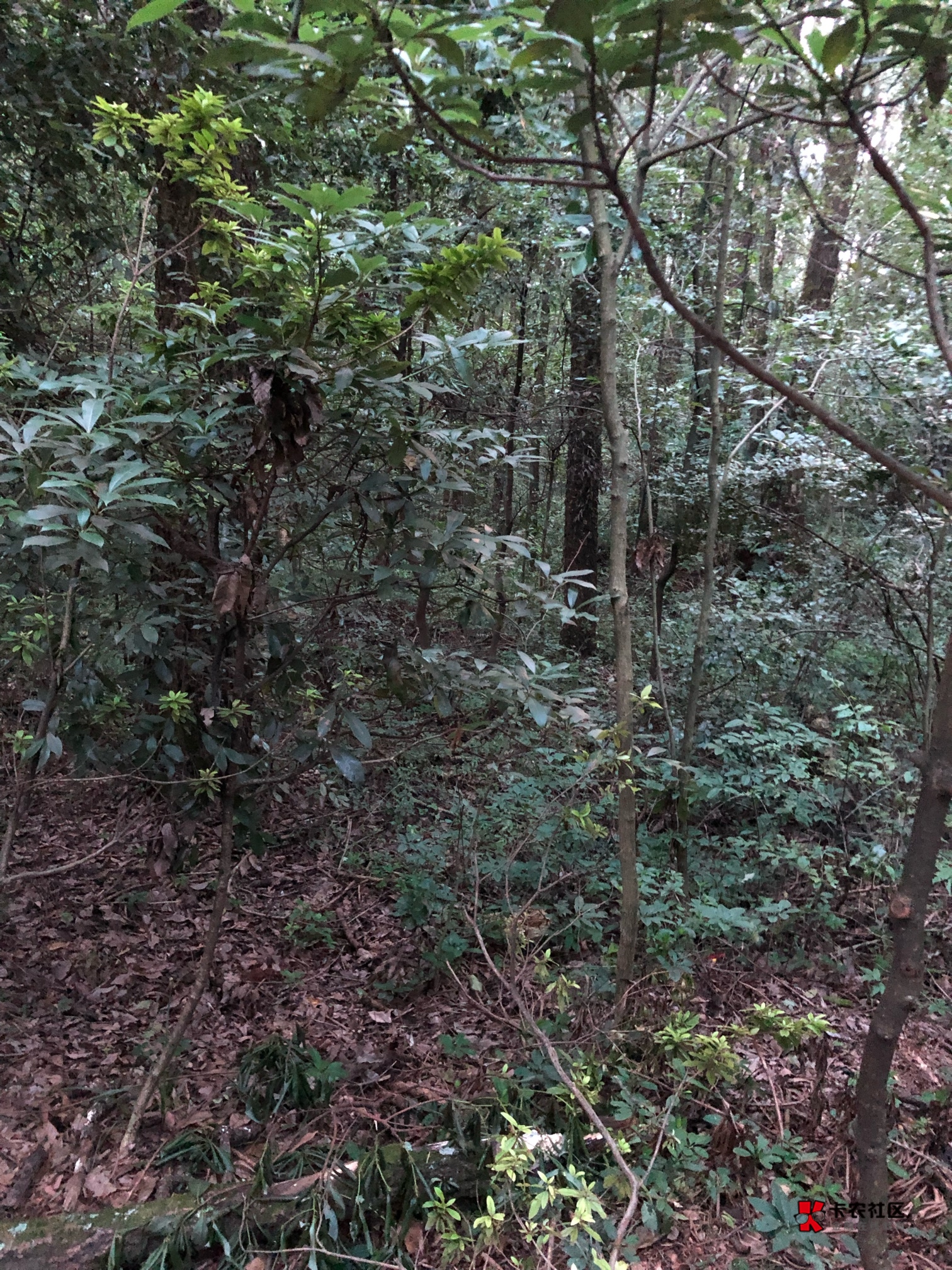 给老哥们讲述一个惊心动魄的经历，今天下午去爬山，下山的时候天快黑了，结果主力机没47 / 作者:包罗万象TM / 