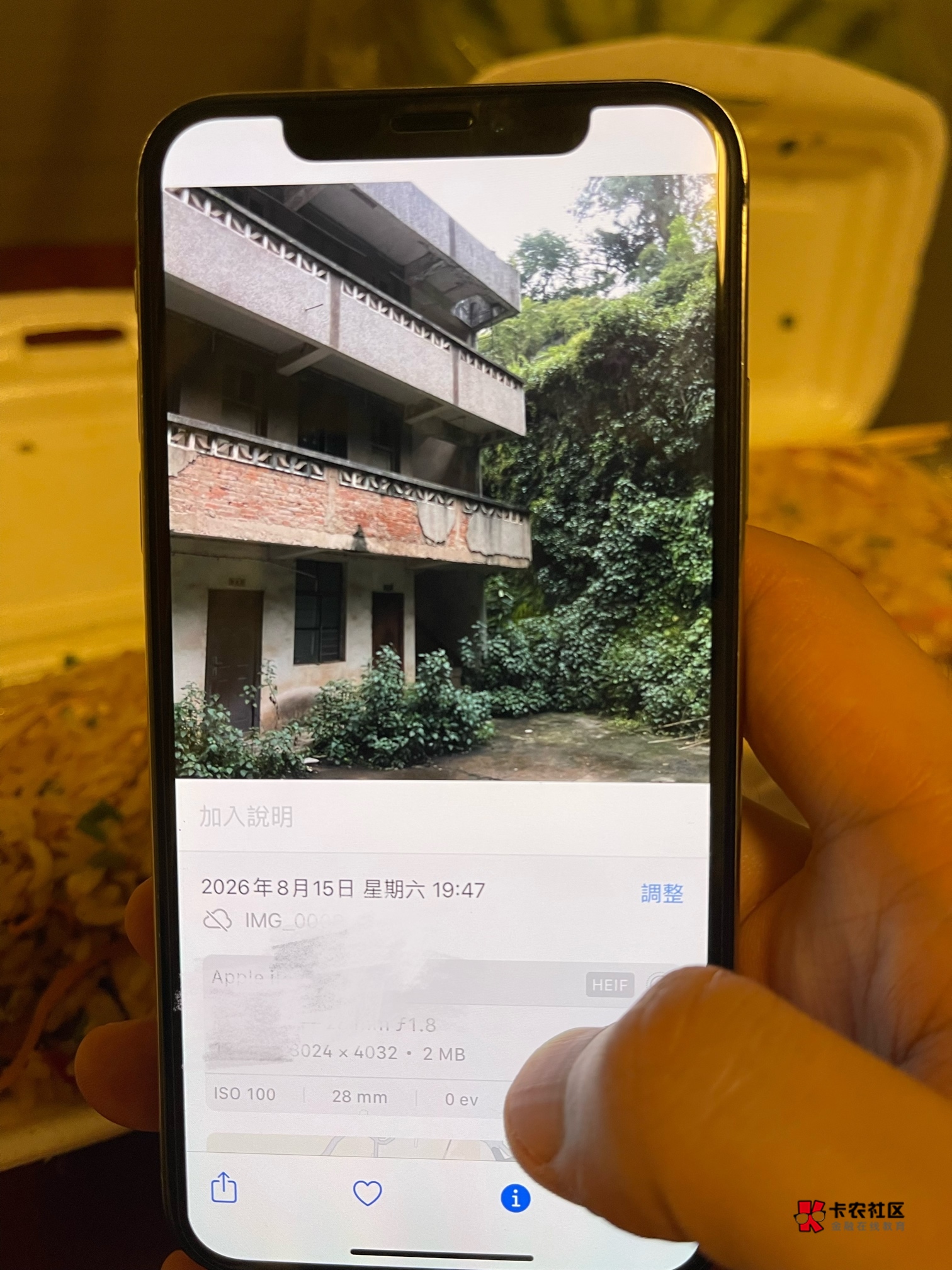 西瓜不吃了，用来拜神明，请钟馗让我明天顺利办完乔迁之喜，卡农老哥永不为奴！为了自39 / 作者:包罗万象TM / 