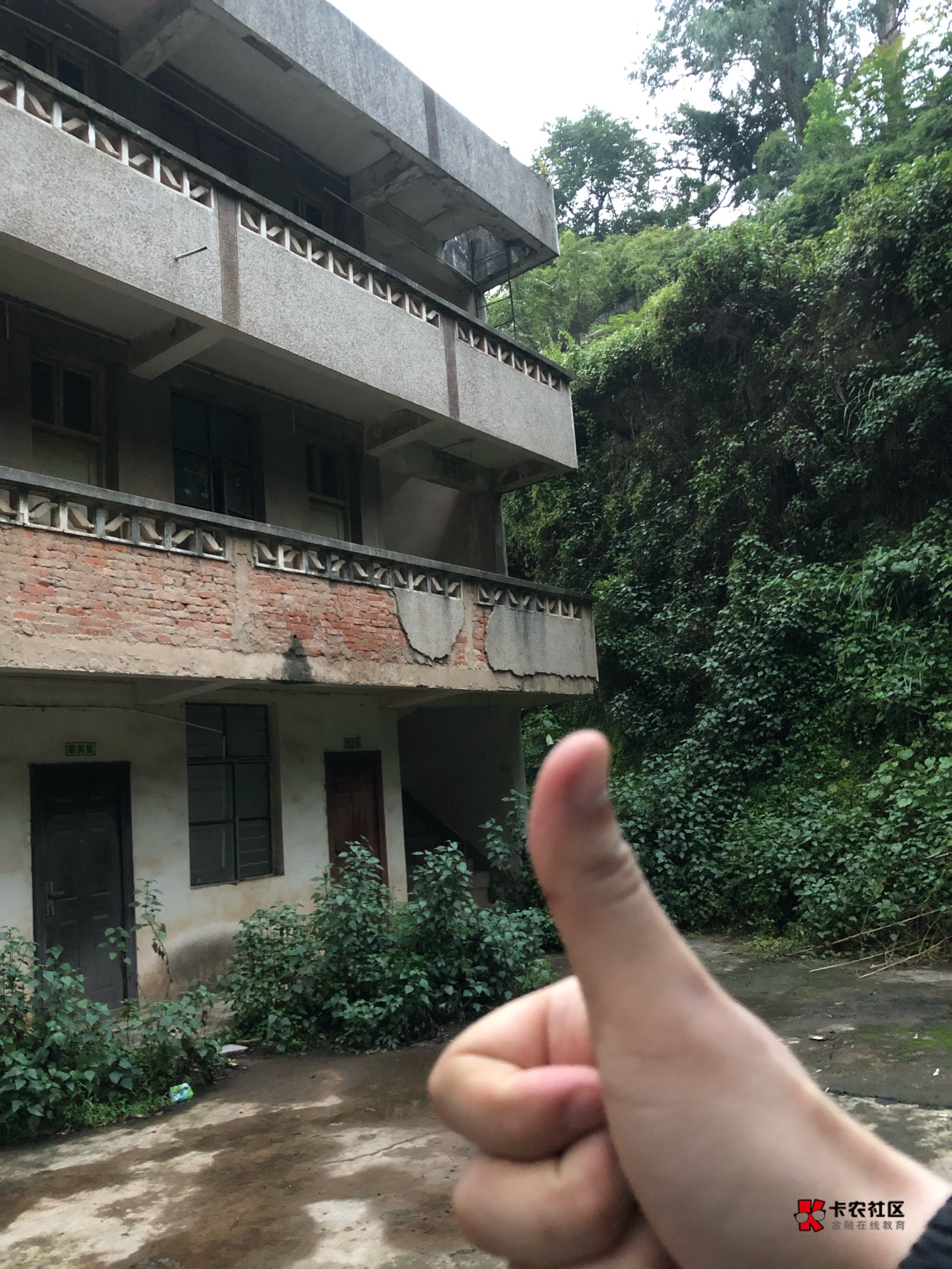 西瓜不吃了，用来拜神明，请钟馗让我明天顺利办完乔迁之喜，卡农老哥永不为奴！为了自24 / 作者:包罗万象TM / 