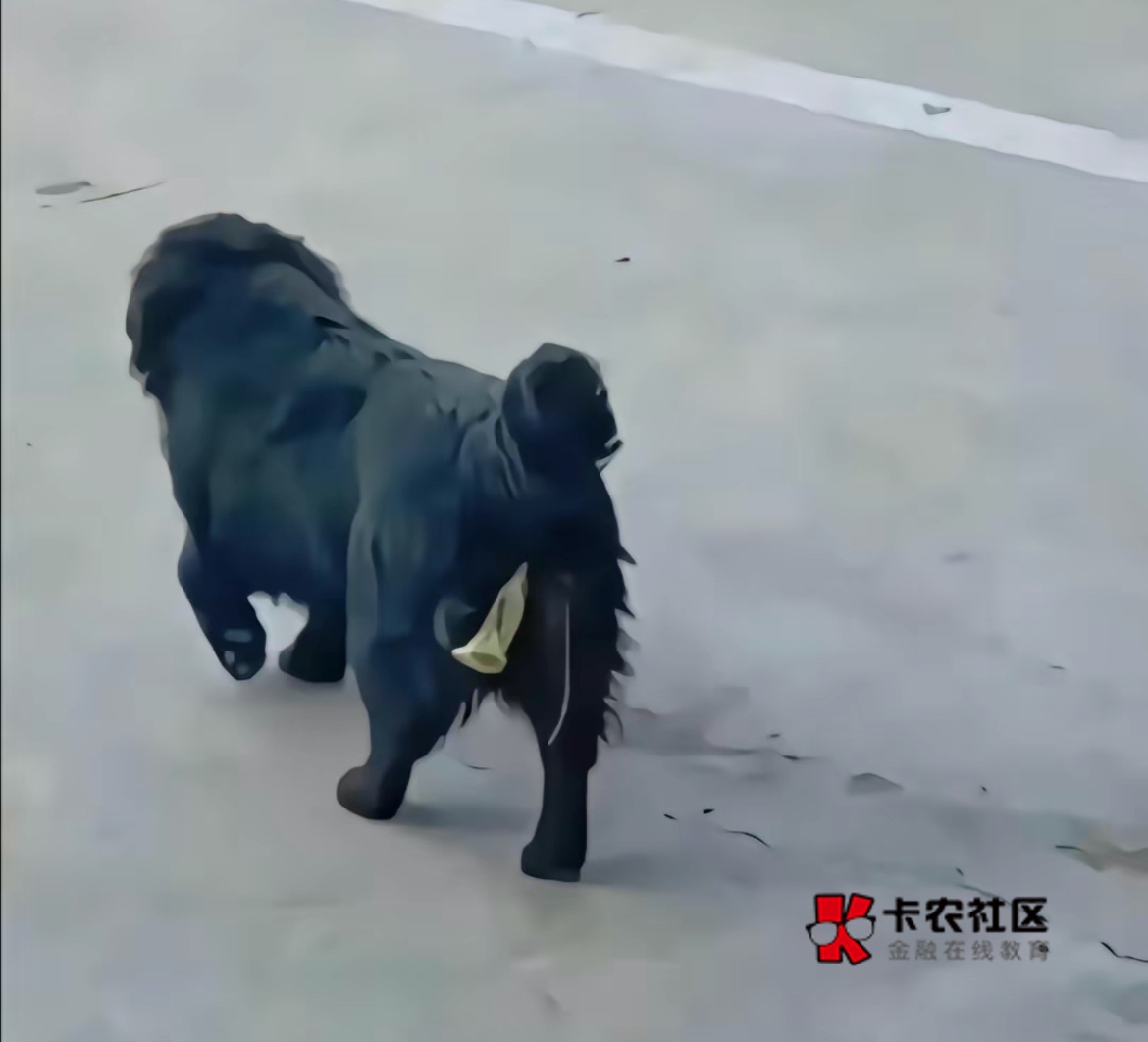 真怀念过去薅老农羊毛的日子啊！动不动28，38，58，88，188，现在1.88，8.88也得发帖31 / 作者:好久不见kkk / 