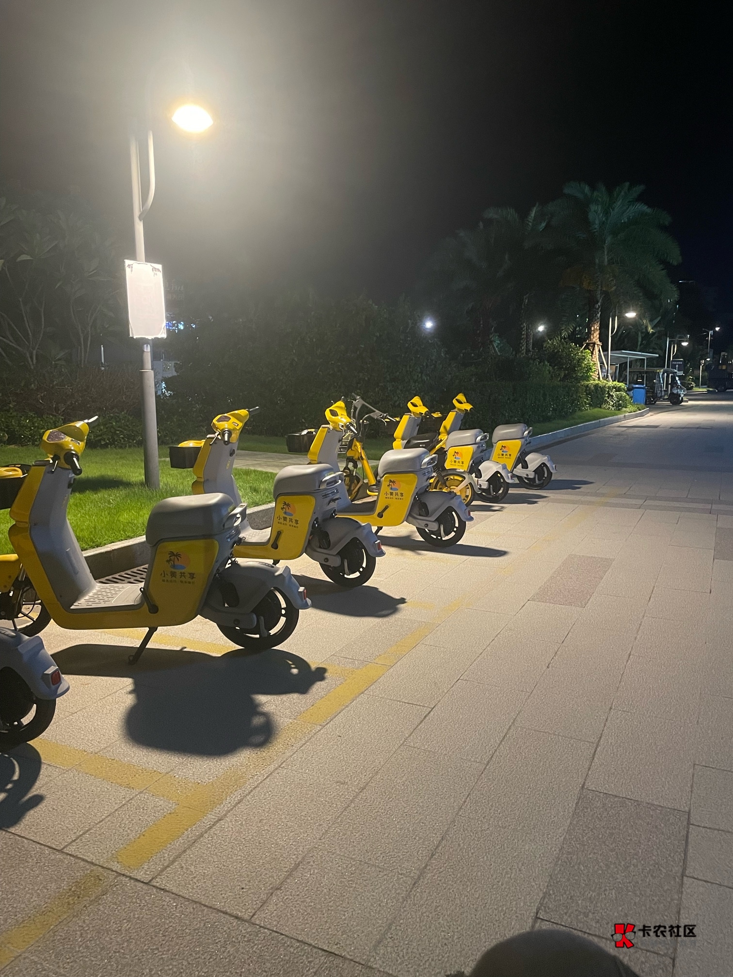 在路上了老哥们，这次必须狠狠申请

91 / 作者:就爱嫖 / 