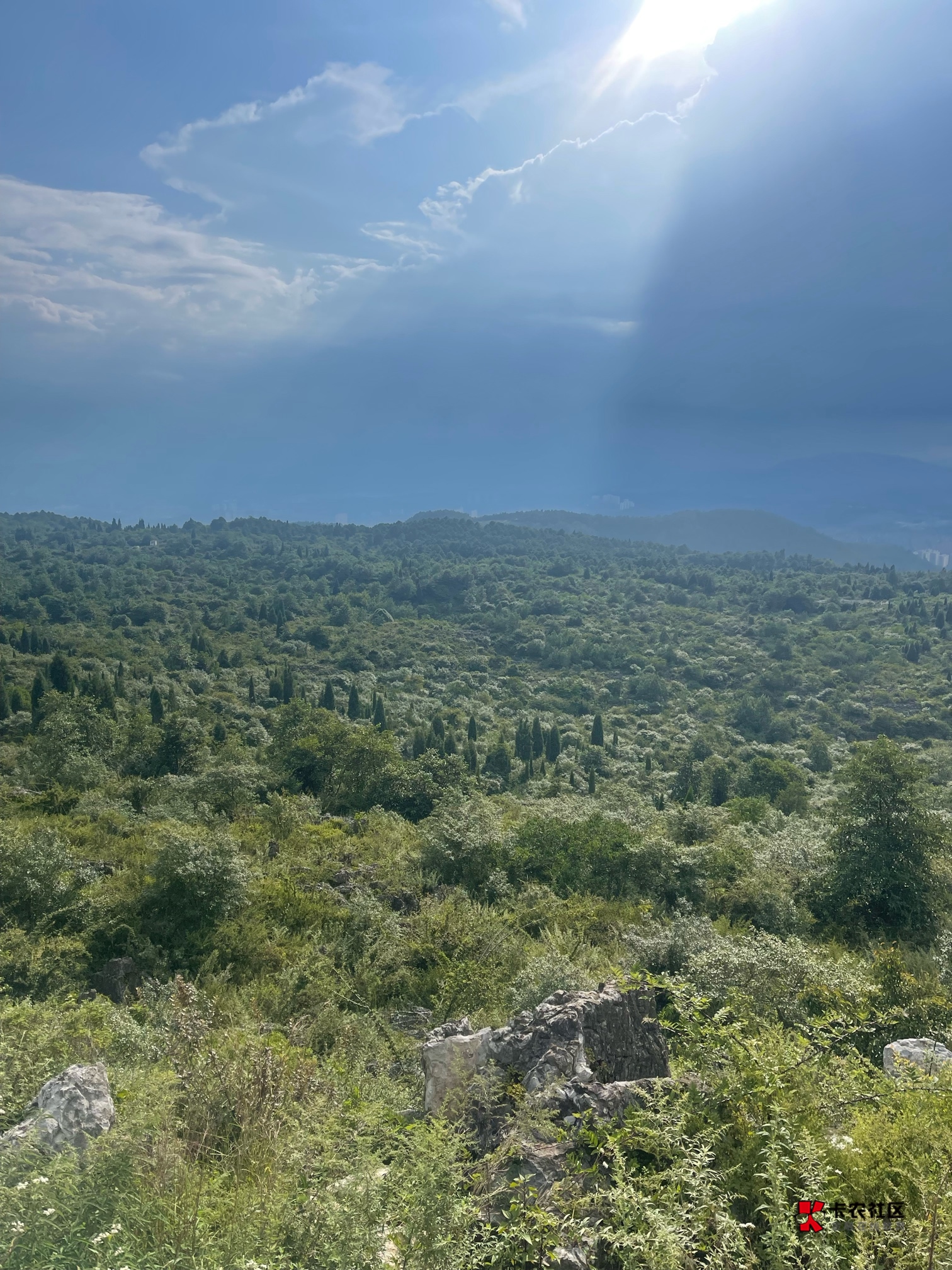 告诉自己千万不要给自己太多压力，有压力就去爬山、旅行，今朝有酒今朝醉，我欲乘风归0 / 作者:包罗万象TM / 