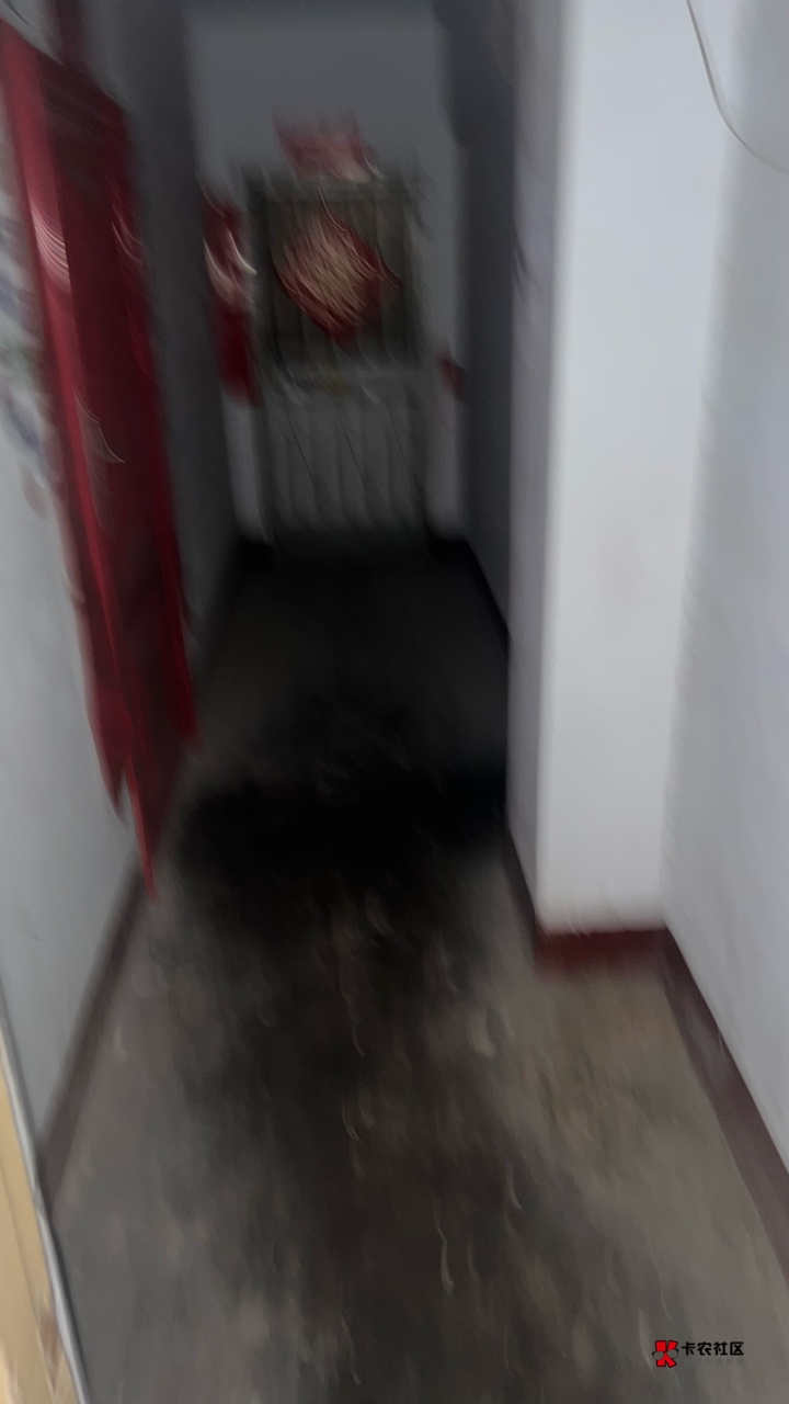 睡过头了。走路送外卖第一单就遇到大红色们吓死我了。我都不敢正看。现在走了还感觉有84 / 作者:首席测试体验官 / 