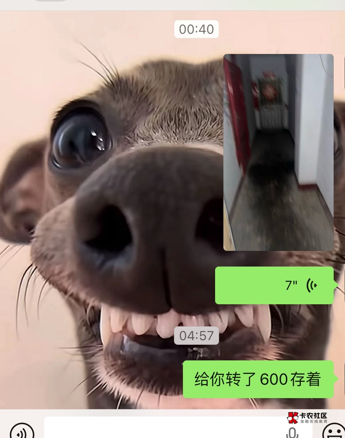 走路送外卖攒到钱怕留不住。转给老婆

91 / 作者:首席测试体验官 / 