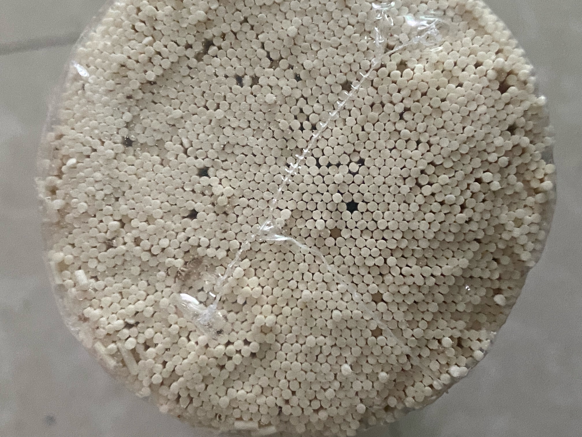 这个虫子还能活几天，这将是我举证赔偿的有力证据吧，在美团好想来买的一堆饮品加挂壁10 / 作者:平安是福me / 
