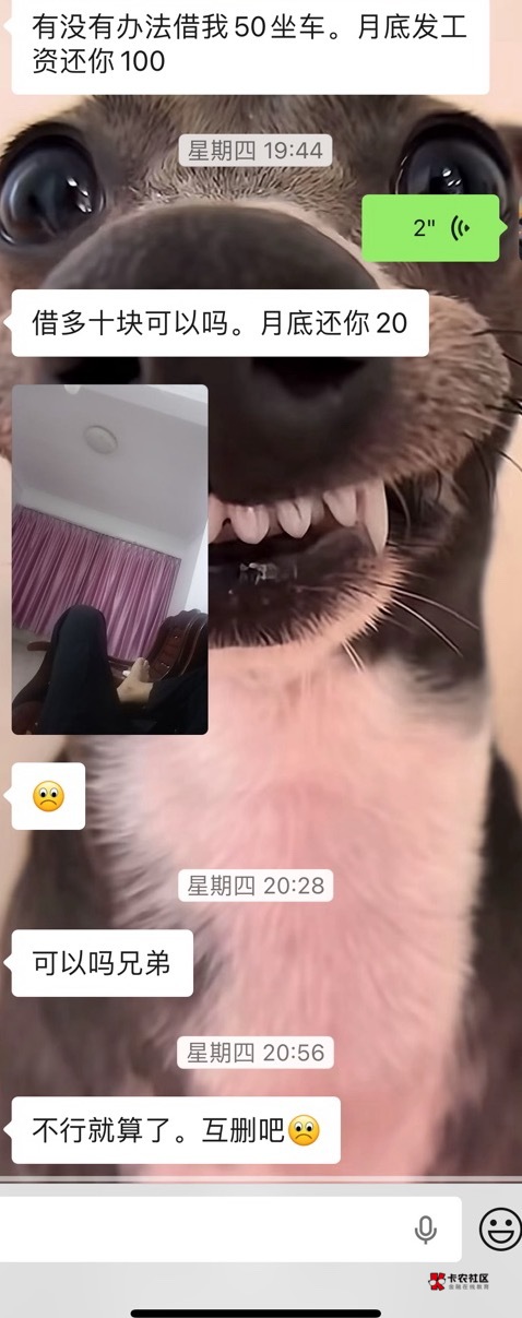 这老哥把我删了。我好伤心。我借给你还不行吗。我求求你加我回来。



14 / 作者:首席测试体验官 / 