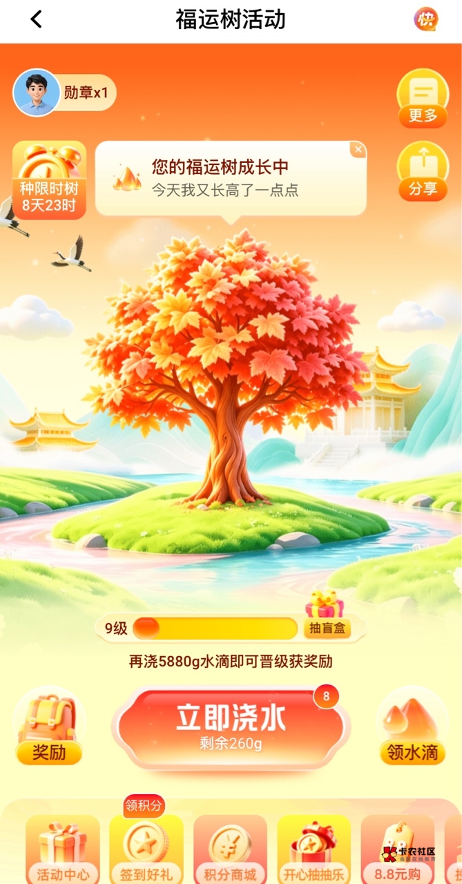 平安福运树，按照本来的剧本国庆就能拿下200，现在每天只给240滴 又得弄一个月，小可4 / 作者:神手老马།༢ / 