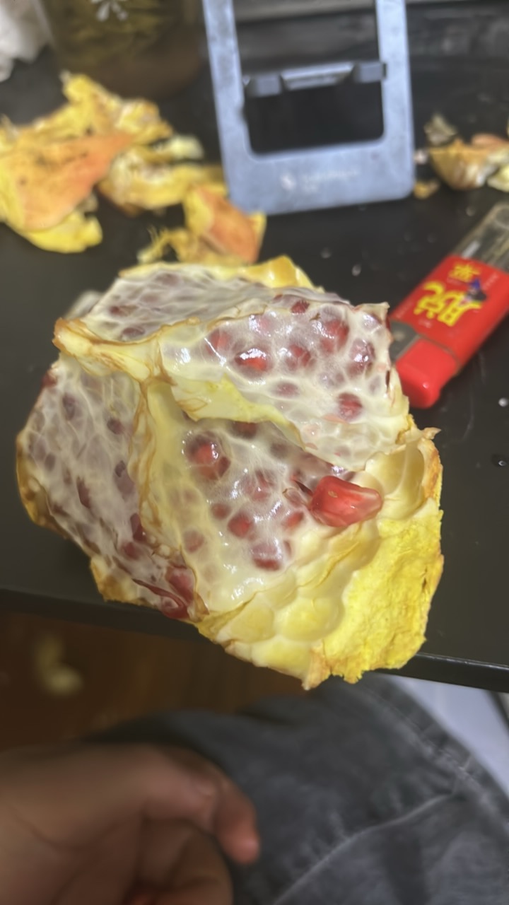 睡不着拔石榴吃
49 / 作者:小宇宙迷弟 / 