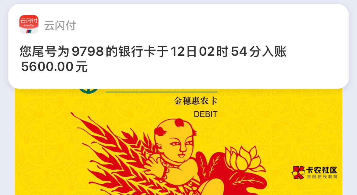 ysf支付消息，随便点开一笔第三方交易订单，底下余额查询点一下，马上到账几千块，人10 / 作者:跳跳糖777 / 