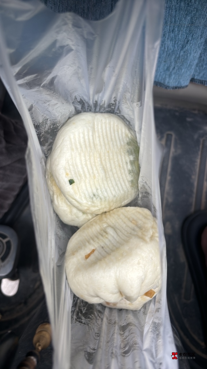 老哥们吃饭了。四块五买了四个.。两个韭菜一个雪菜一个肉的。豆腐的没了。我爱吃豆腐86 / 作者:海阔天天空 / 